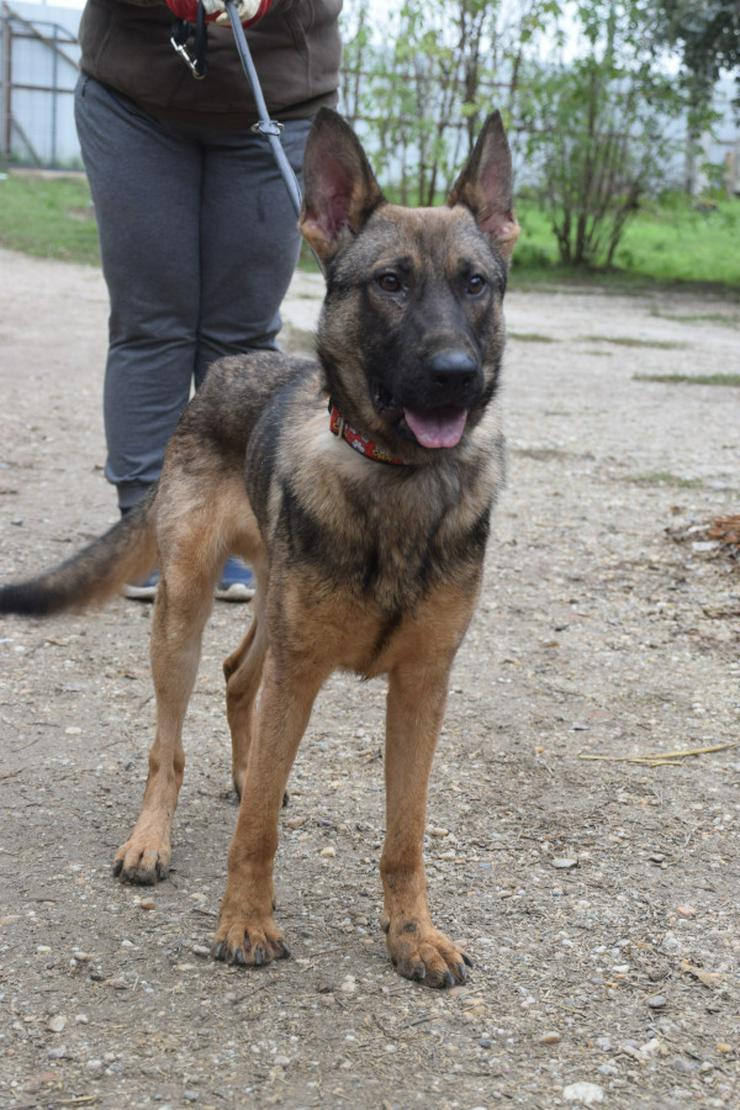 Bild 3: 	 Malte ist sehr aktiv und zeigt großes Interesse an neuen Erfahrungen.