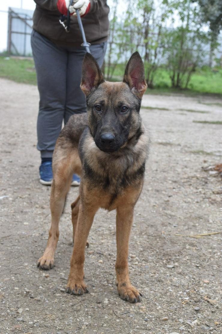 Bild 2: 	 Malte ist sehr aktiv und zeigt großes Interesse an neuen Erfahrungen.