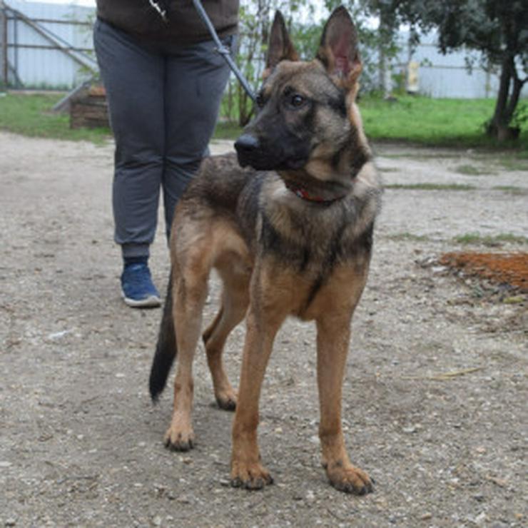 Bild 7: 	 Malte ist sehr aktiv und zeigt großes Interesse an neuen Erfahrungen.