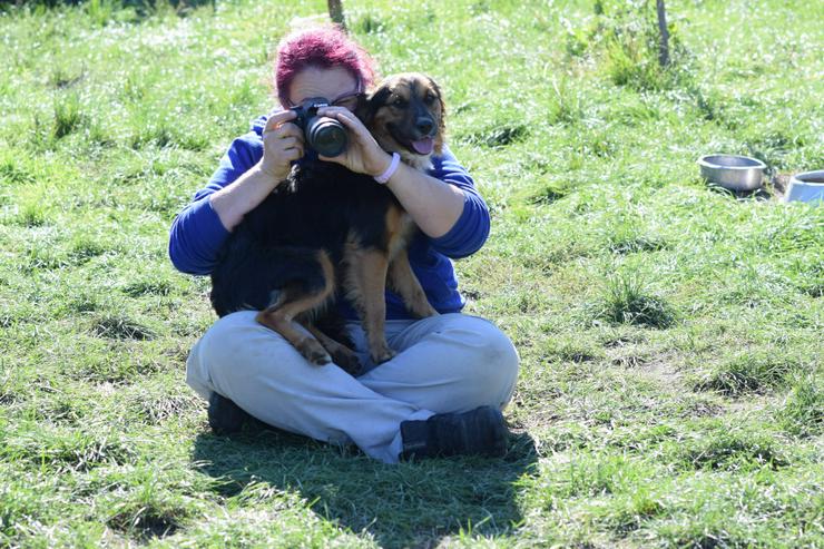 Bild 9: Gobo ist ein junger Mischlingsrüde, der nach einem liebevollen Zuhause sucht.