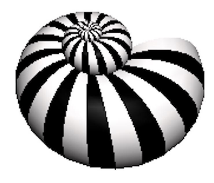 Mathe- und Physik-Nachhilfe - Unterricht & Bildung - Bild 1