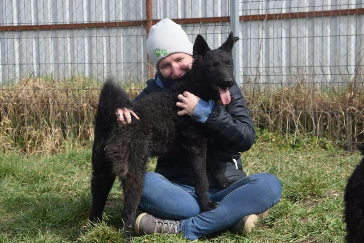 Bild 7: Oliver ist ein zuckersüßer, netter und hübscher Lausejunge.