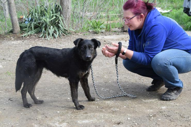 Bild 8: Dori ist medium aktiv.