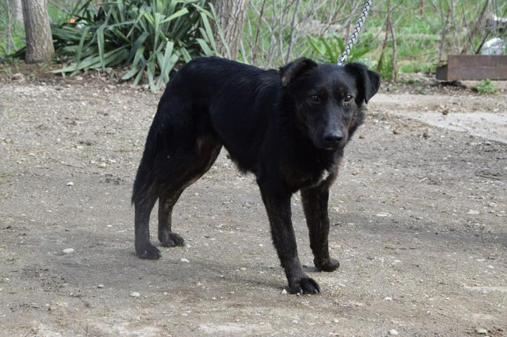 Bild 7: Dori ist medium aktiv.