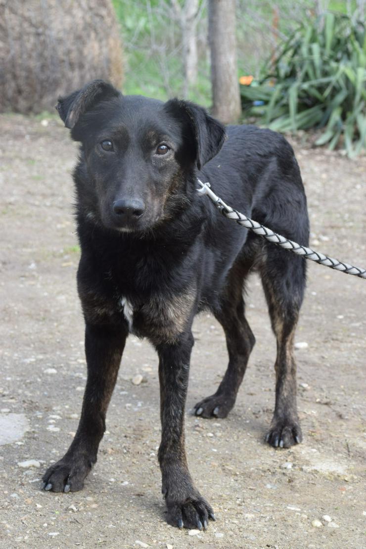 Dori ist medium aktiv.