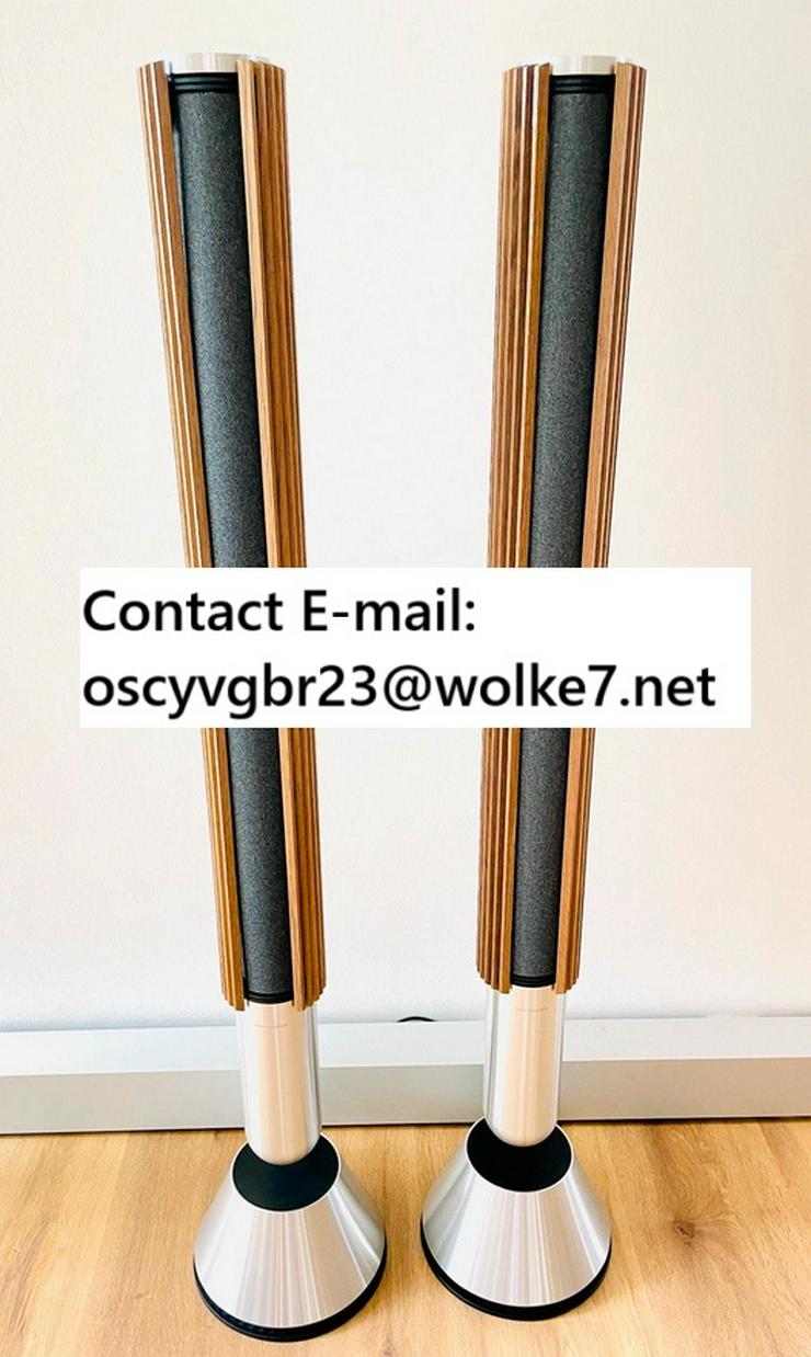 Bang Olufsen BeoLab 28 ( E-mail: oscyvgbr23(AT)wolke7 .net )