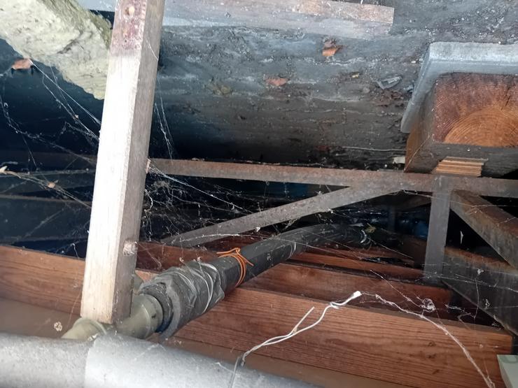 Bild 14: MOBILHEIM ZU VERKAUFEN STANDORT z.Zt. 41379 BRÜGGEN  3.700 €