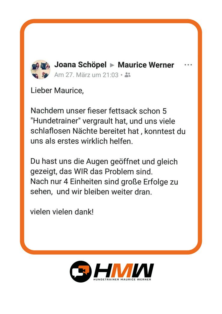 Bild 11: Professionelles Hundetraining – Persönlich oder auch via Video