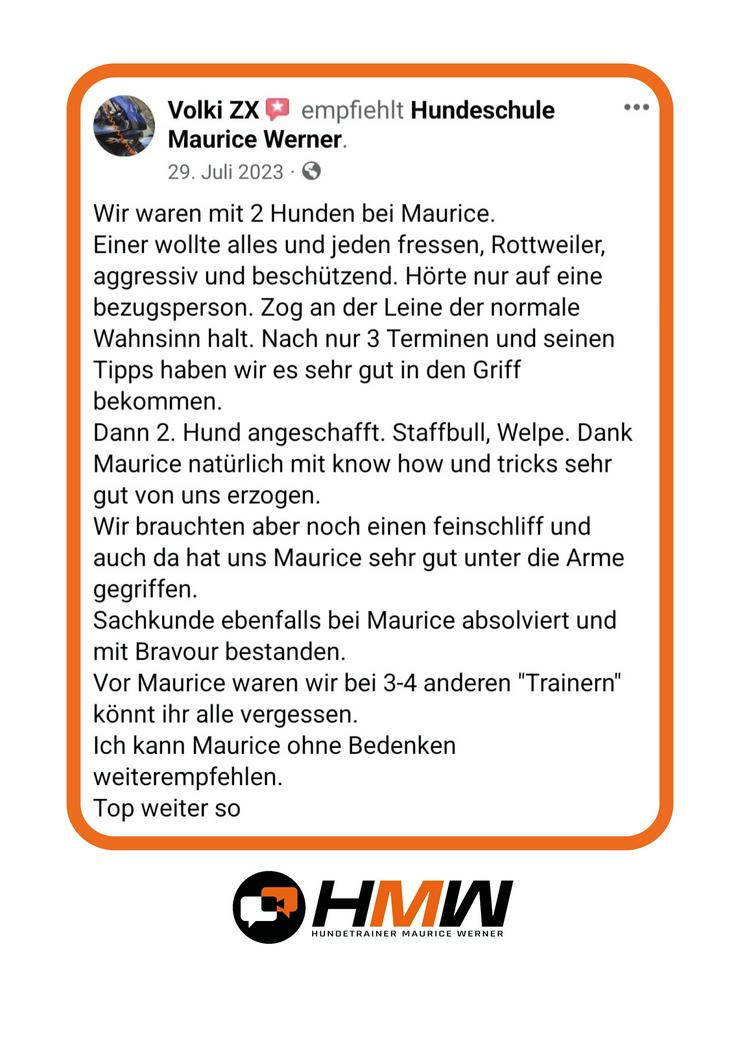 Bild 4: Professionelles Hundetraining – Persönlich oder auch via Video