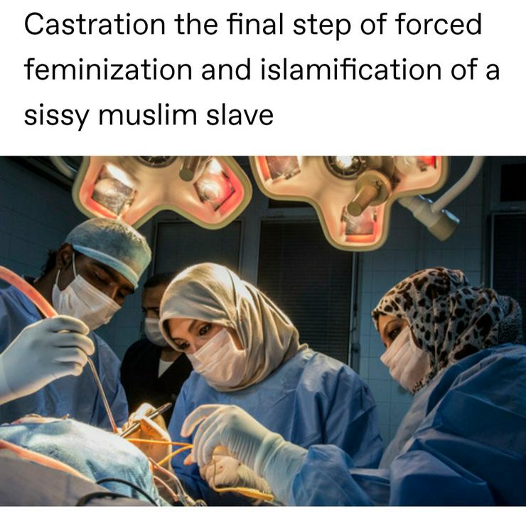 Bild 2: Muslimische Ärztin/Betreuerin gesucht