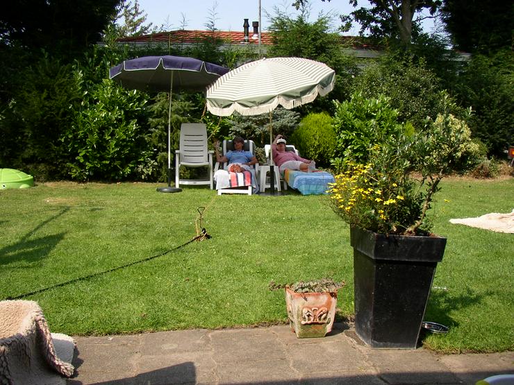 Bild 14: LastMIN: NIEDERLANDE, ZEELAND , OOSTKAPELLE, STRANDNAH; 4P DÜNENHAUS MIETEN?