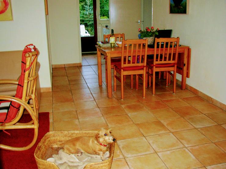 Bild 6: NIEDERLANDE, ZEELAND , OOSTKAPELLE, STRANDNAH; 4P DÜNENHAUS MIETEN?