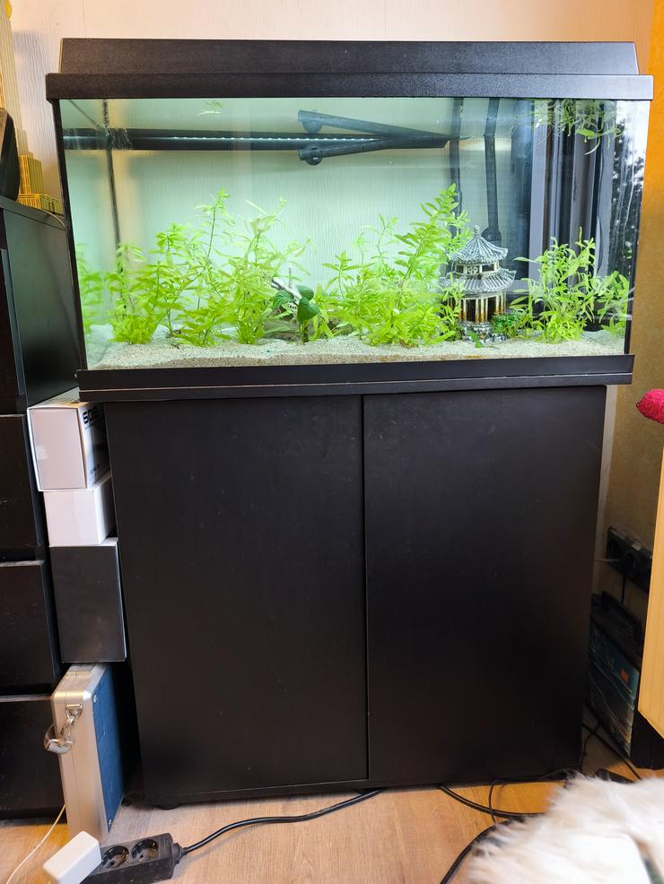 Aquarium mit Zubehör und Unterschrank abzugeben