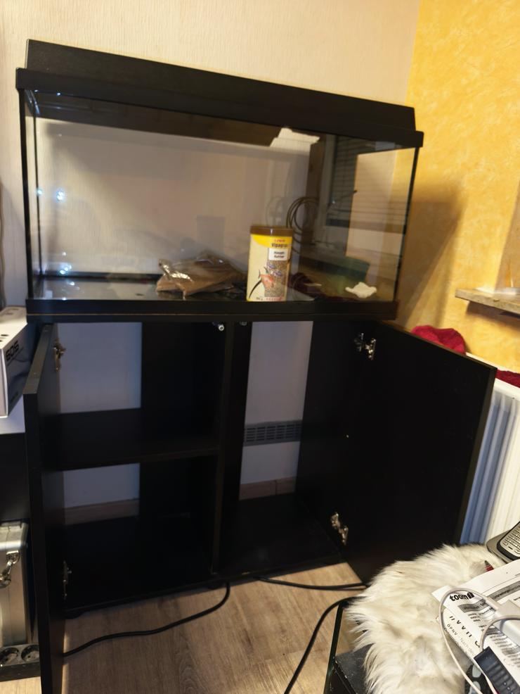 Bild 6: Aquarium mit Zubehör und Unterschrank abzugeben