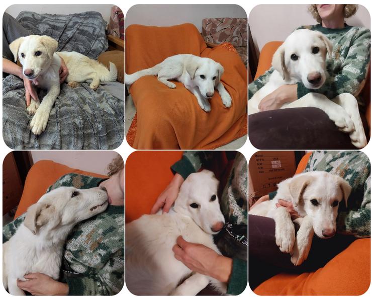 Ghost - sozial, verspielt und offen für Neues