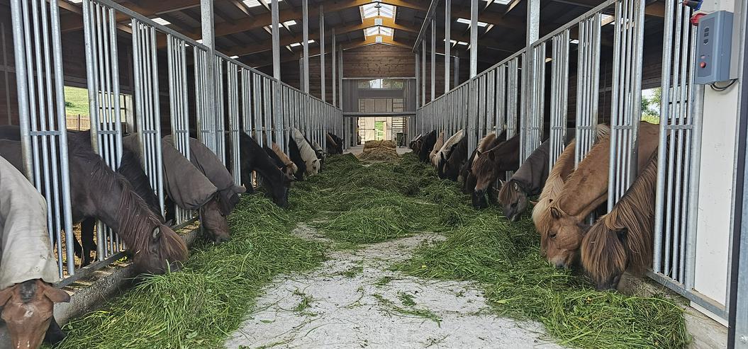 Pferderaufe & Heuraufe | Futterraufe mit Fressgitter