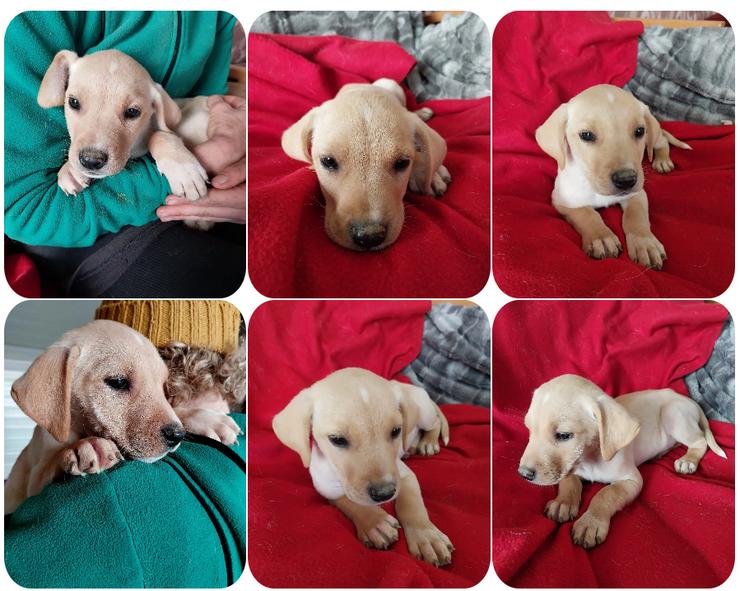 Truda – selbstbewusste, fröhliche und lernfreudige junge Dame