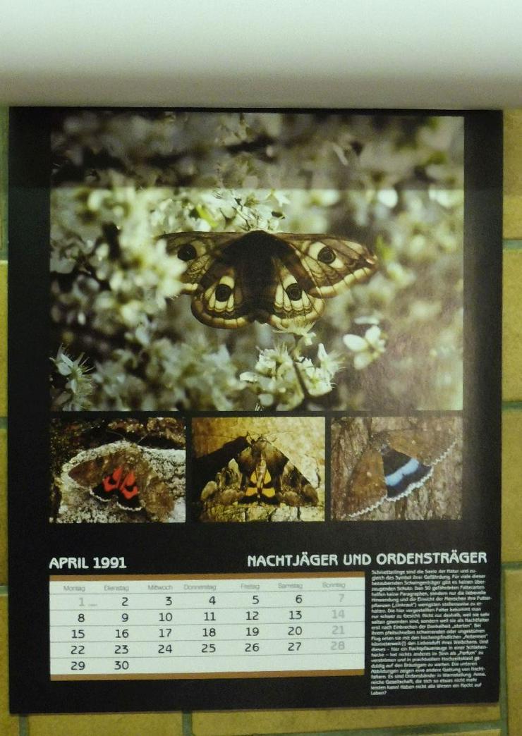 Biotope Kalender von 1991