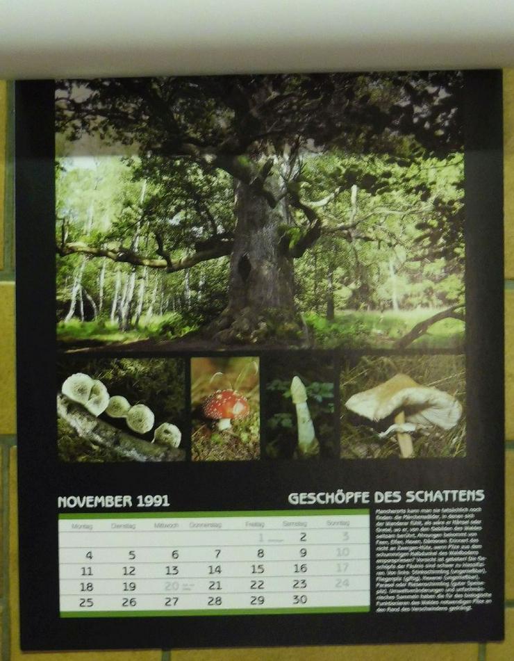 Bild 2: Biotope Kalender von 1991