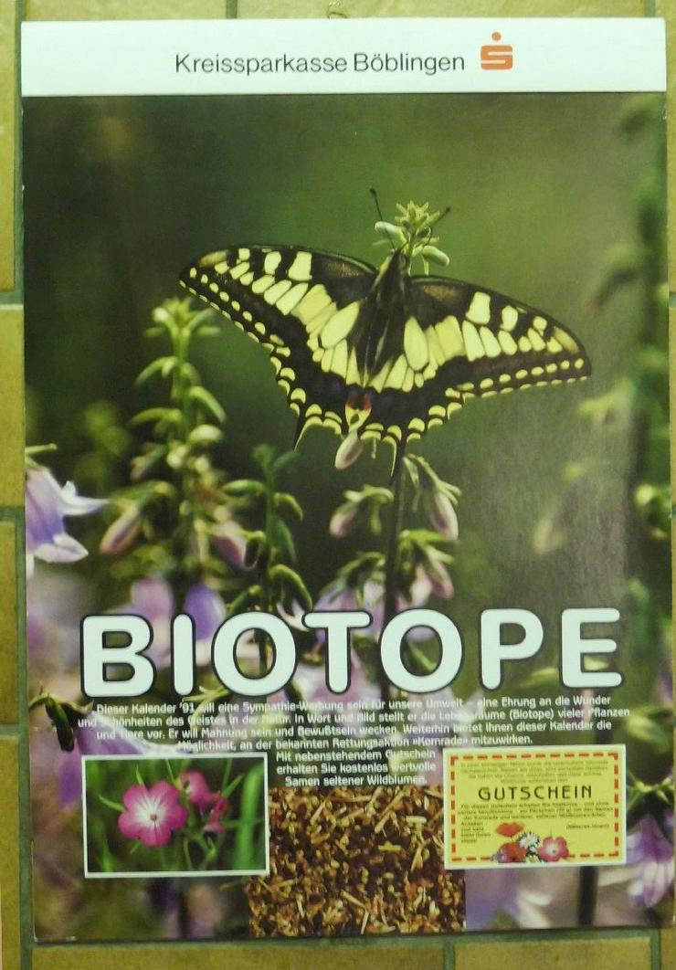 Bild 3: Biotope Kalender von 1991