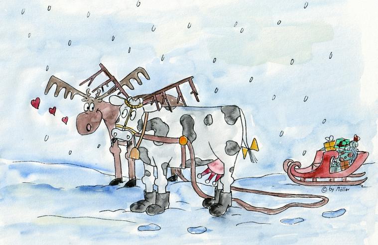 Bild 3: Frivole Weihnachten, ein Comic-Heft mit 24 frechen Bilderwitzen, 