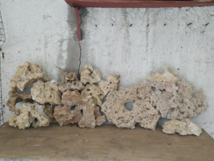 Bild 5: Eheim Filter und sonstiges Zubehör