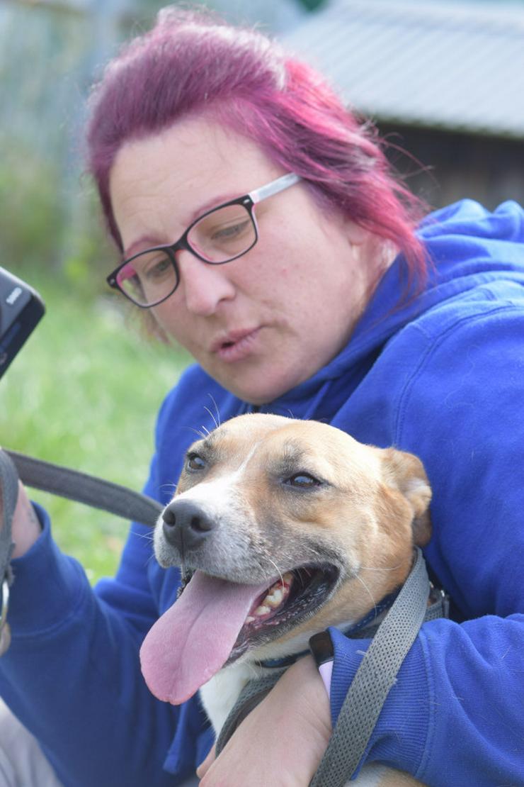 Bild 10: Caroline ist ein sehr nettes und freundliches Hundefräulein.