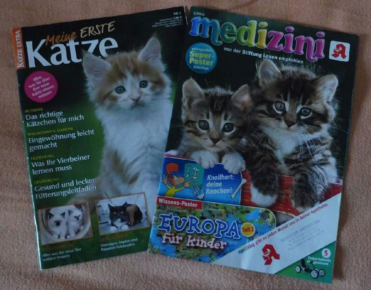Heft: Meine erste Katze, Ausgabe Nr. 1 und Medizini-Superposter 