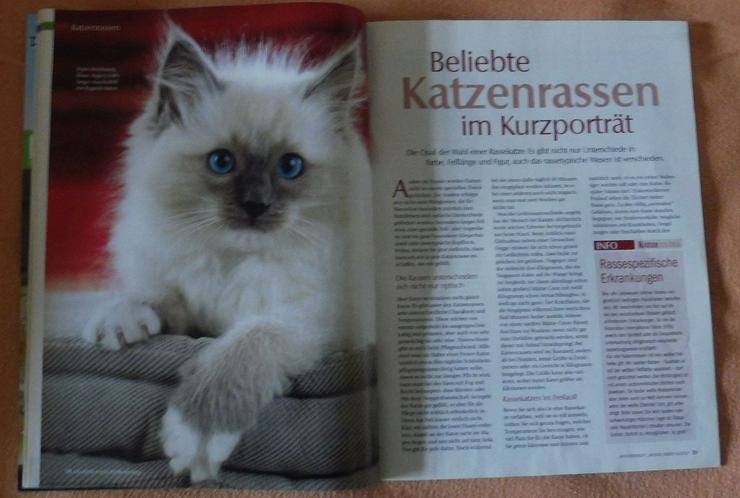 Bild 2: Heft: Meine erste Katze, Ausgabe Nr. 1 und Medizini-Superposter 
