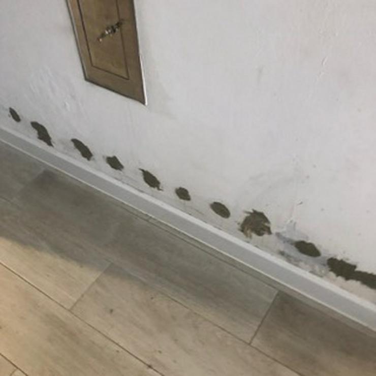 Bild 4: Entwässerung, Kapillarinjektion Deutschlandweit