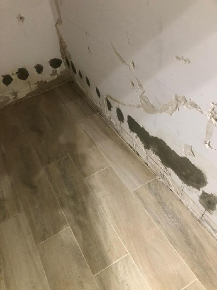 Bild 6: Entwässerung, Kapillarinjektion Deutschlandweit