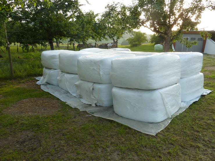 Bild 3: Siloballen, Quaderballen, Bio, Pferde, Kühe, Rinder, 2025
