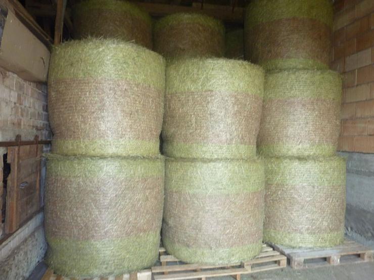 Bild 4: Siloballen, Quaderballen, Bio, Pferde, Kühe, Rinder, 2025