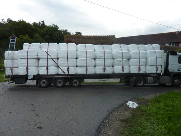 Bild 6: Siloballen, Quaderballen, Bio, Pferde, Kühe, Rinder, 2025