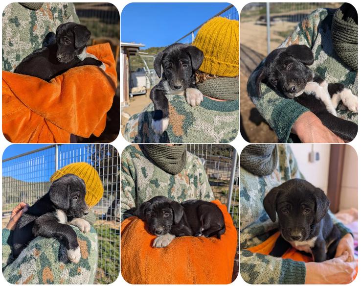 Gustl – ein kleiner Entdecker mit Flausen im Kopf