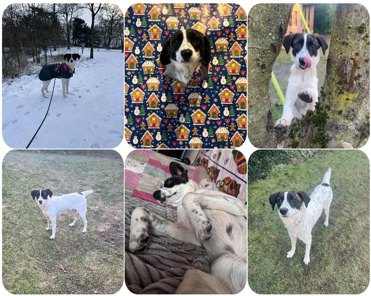 Sally – zuckersüße aktive junge Dame