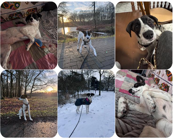 Sally – zuckersüße aktive junge Dame