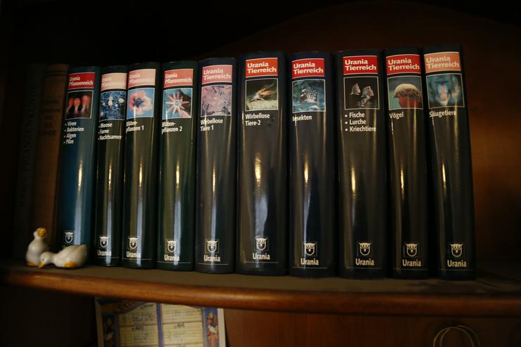 Urania Tierwelt und Pflanzenwelt - Tiere - Bild 1