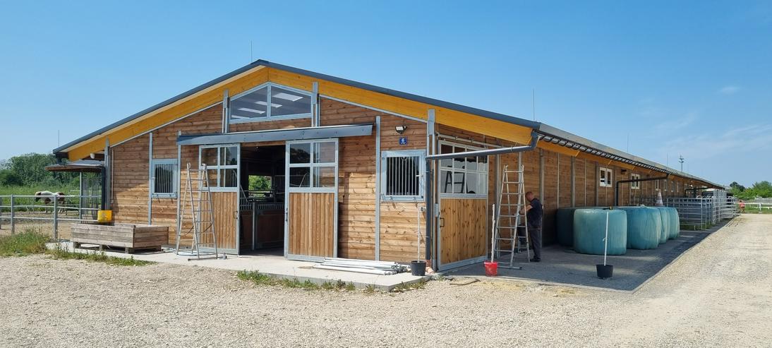 Bild 12: Außenstall & Pferdestall - Boxen für Pferde, ideal für Ställe