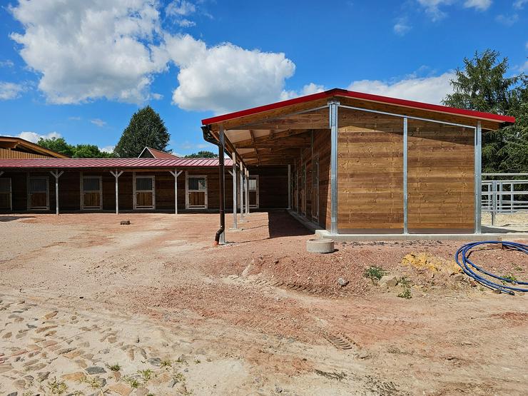 Bild 5: Außenstall & Pferdestall - Boxen für Pferde, ideal für Ställe