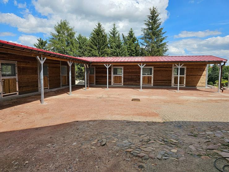 Bild 4: Außenstall & Pferdestall - Boxen für Pferde, ideal für Ställe