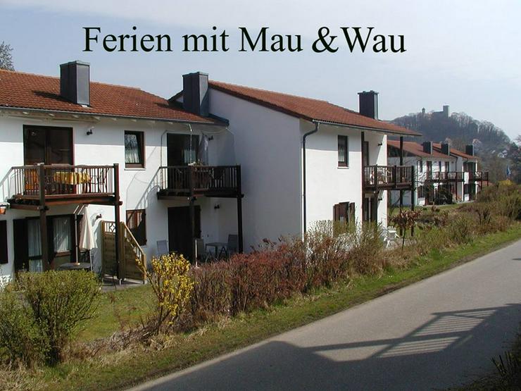 Ferien mit Mau & Wau - Luftkurort Falkenstein - Bayerischer Wald