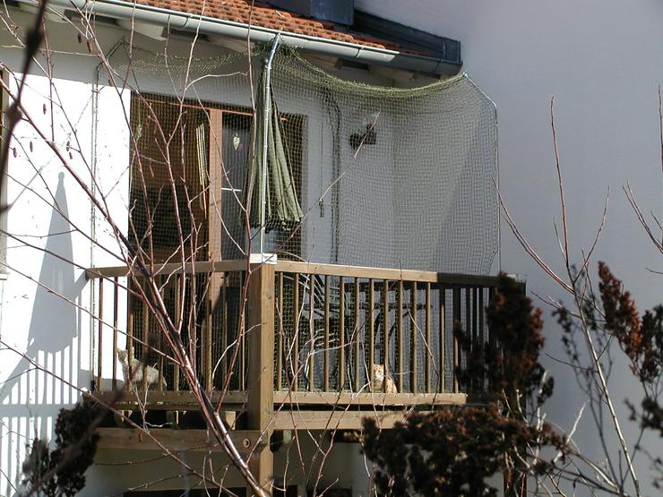 Bild 14: Ferien mit Mau & Wau - Luftkurort Falkenstein - Bayerischer Wald