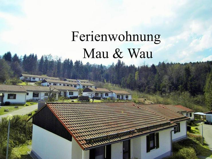 Ferien mit Mau & Wau - Luftkurort Falkenstein - Bayerischer Wald