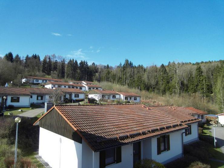 Bild 2: Ferien mit Mau & Wau - Luftkurort Falkenstein - Bayerischer Wald