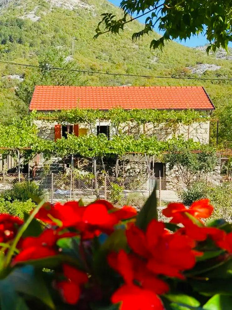 Ferienhaus Montenegro 
