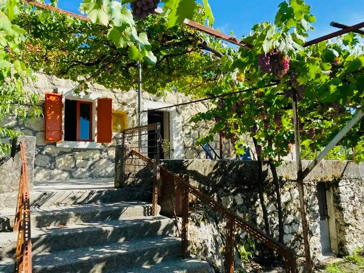 Bild 3: Ferienhaus Montenegro 