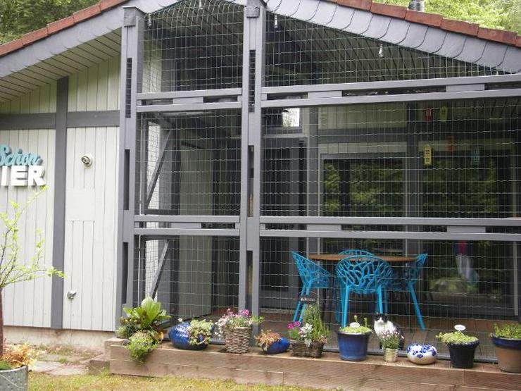 Bild 2: Ferienhaus Mau und Wau - Waldhessen