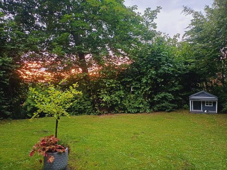 Bild 17: Ferienhaus Mau und Wau - Waldhessen