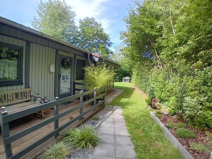 Bild 14: Ferienhaus Mau und Wau - Waldhessen